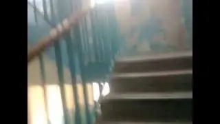 TM. Следим за девочкой!