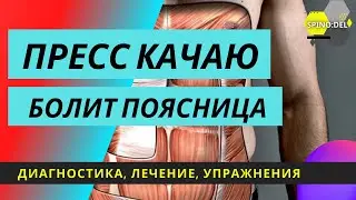 Почему может болеть поясница ? Прямая мышца живота!