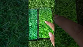 Display & Camera Review ! Realme C55 vs Narzo N55 ! 