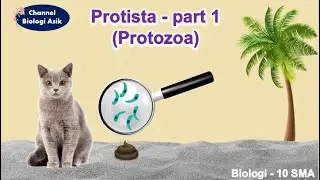 Protista part 1 (Protozoa) - Biologi kelas 10 SMA