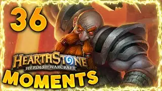 Hearthstone Funny Moments #36 - Daily Hearthstone Lucky Moments Epic Best Plays | One Turn Kill