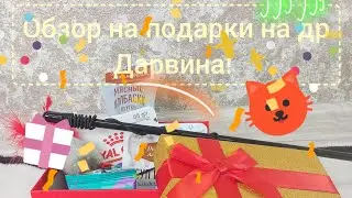 Обзор подарков на др Дарвина!🥳😻 #деньрождения #cat #котики #дарвин #пухлыйкотик #котикблогер