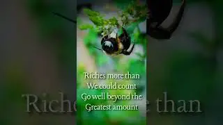 Pollination