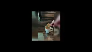 My whole life in a single video