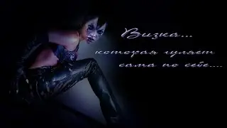 Panzar, визка