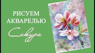 Рисуем сакуру акварелью. Демонстрация процесса рисования