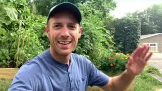 6 Health Benefits of Gardening for You and Your Family 🌿🌱💐🌷