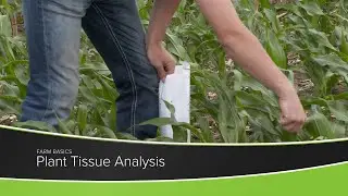 Plant Tissue Analysis