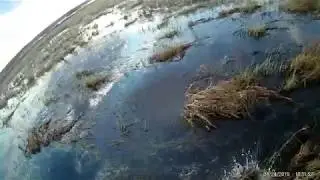 Весенняя охота 2019.