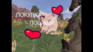 star stable/покупка кватерхорса/маленькие лаги