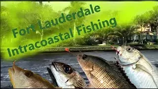 Fort Lauderdale Intracoastal Fishing