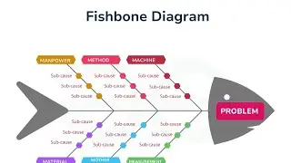 what is Cause & Effect  Diagram (Fish Bone Diagram) in BPO? || Live Example 2020