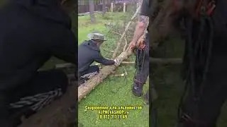 Работаем с фирмой Пилить и расчищать