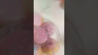 23 марта 2024 г.