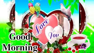 good morning status video 📹 good morning status 💙 whatsapp status video 💙