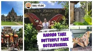 BARONG TANZ 🦁 BUTTERFLY PARK 🦋 HOTELWECHSEL IN SANUR ▹ BALI VLOG #5