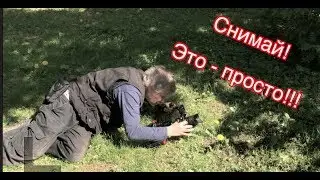 ч.1 Логика движения камеры. Курс 