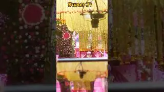 bake bihari live darshan 