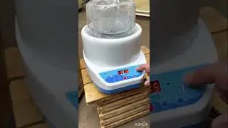 30 июля 2024 г.