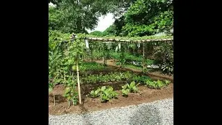 GULAYAN SA BUKID