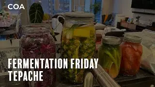 Tepache Fermentation