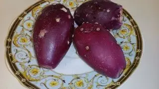 Как почистить плод кактуса Опунции . Дегустация плодов кактуса