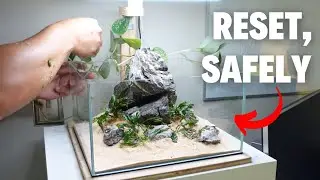 How To Safely Reset A Fish Tank