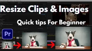 Premiere Pro Beginner tips I How to resize images and clips