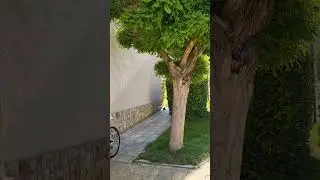 Morning in Bulgaria 