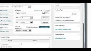 Shopping Cart Product Feed Introduction
