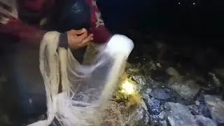 Fishing for shrimp during the day, fishing for mullet at night