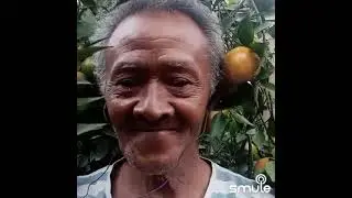 kenangan sugito