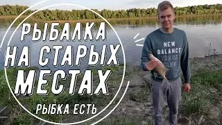 ВЫХОДНАЯ, ТИХАЯ РЫБАЛКА С СЫНОМ. ЧЕМ БОГАТ ИРТЫШ ?