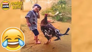 Isso Não Era Esperado! Vídeos Engraçados 2024 - Tente Não Rir