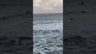 It was pretty consistent that day, tho the wind did pick up a little in the evening~ #surfers #waves
