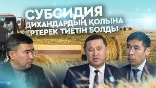 Субсидия дихандардың қолына ертерек тиетін болды