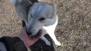 Таможня принимает товар)))