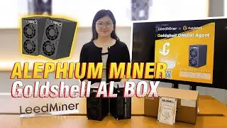 How to Mine with Goldshell AL Box?
