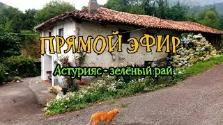 #прямой_эфир_Света Астурияс - зелёный рай