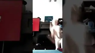 Хаха