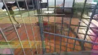 GTA V ONLINE. МЕНЯ ЗАПЕРЛИ В КЛЕТКУ! + ГЛИТЧИ, КАК ВАМ? :)