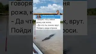 Жалоба мальчика #анекдоты #шортс #приколы