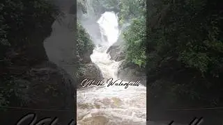 Vibuthi Waterfalls during monsoon #gokarna #monsoon  #vibhuthifalls