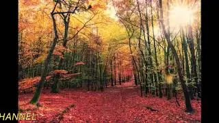 SPRING TREES AND JUNGLE ANIMATED BACKGROUNDS DOWNLOAD FREE MOTION HD 1080P GREEN SCREEN BACKGROUNDS