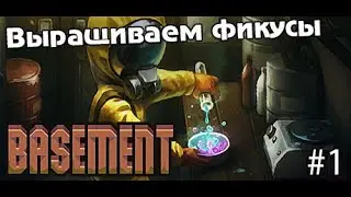 Выращиваем Фикусы Basement Прохождение #1