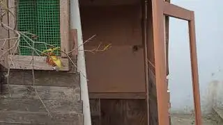 GÜVERCİN KAFESİ NASIL YAPILIR PART2
