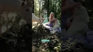Это платье с бабочками пролетело пол мира