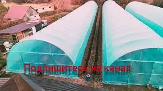 Теплица для клубники. Күнөс кана кулпунай үчүн. Qulupnay uchun issiqxona. Теплиця для полуниці.
