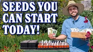 ALL The Seeds I'm Starting NOW For My Summer Garden!