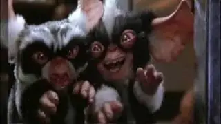 Mogwai Want Cake